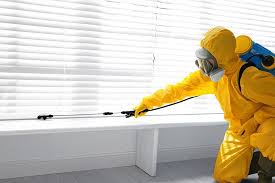 Pest Control for Hotels in International Falls, MN